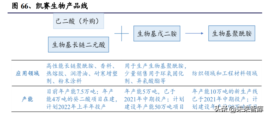 合成生物學(xué)深度報告:推陳出新,欣欣向榮