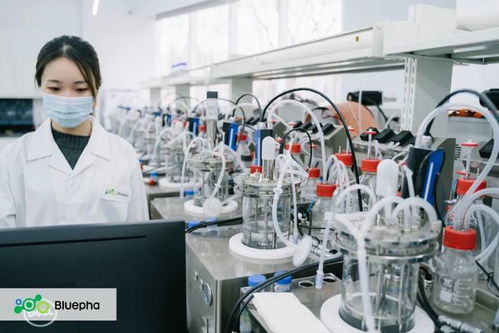 藍晶微生物獲15億元B輪系列融資，元生資本與混改基金領投，加速生物基材料研發