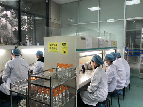 生物選考沖刺提分秘籍 高中生物實驗訓練營寒假開啟，助力未來生物基材料技術研發